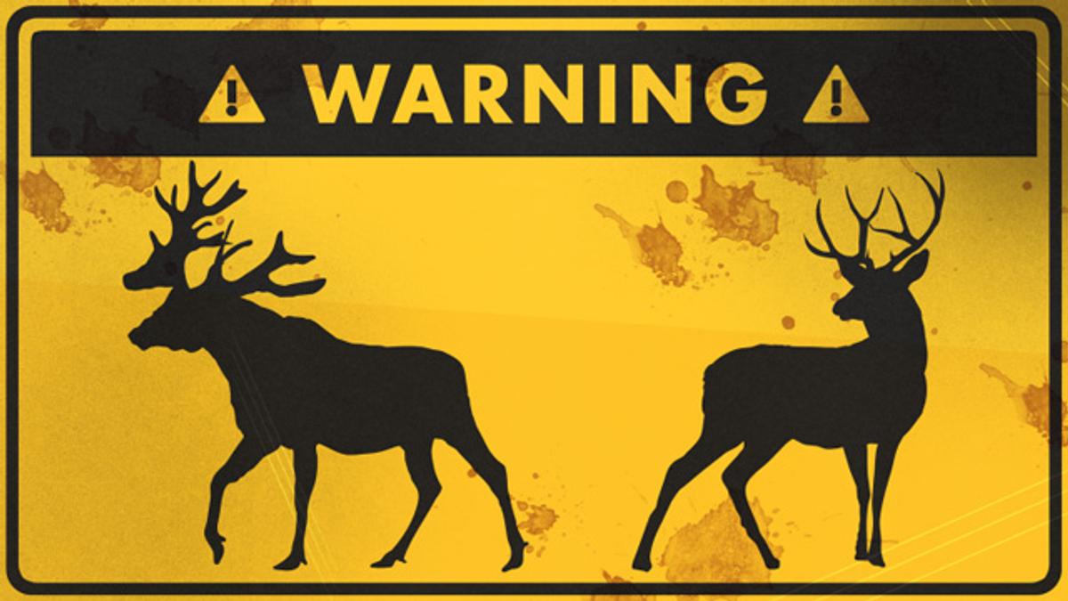 野生の鹿やヘラジカ ムース に遭遇したときの対処法 ライフハッカー ジャパン