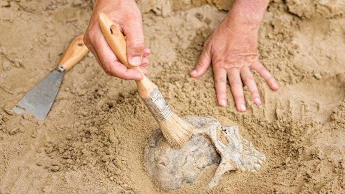 人肉にはあまり栄養価がない ライフハッカー ジャパン