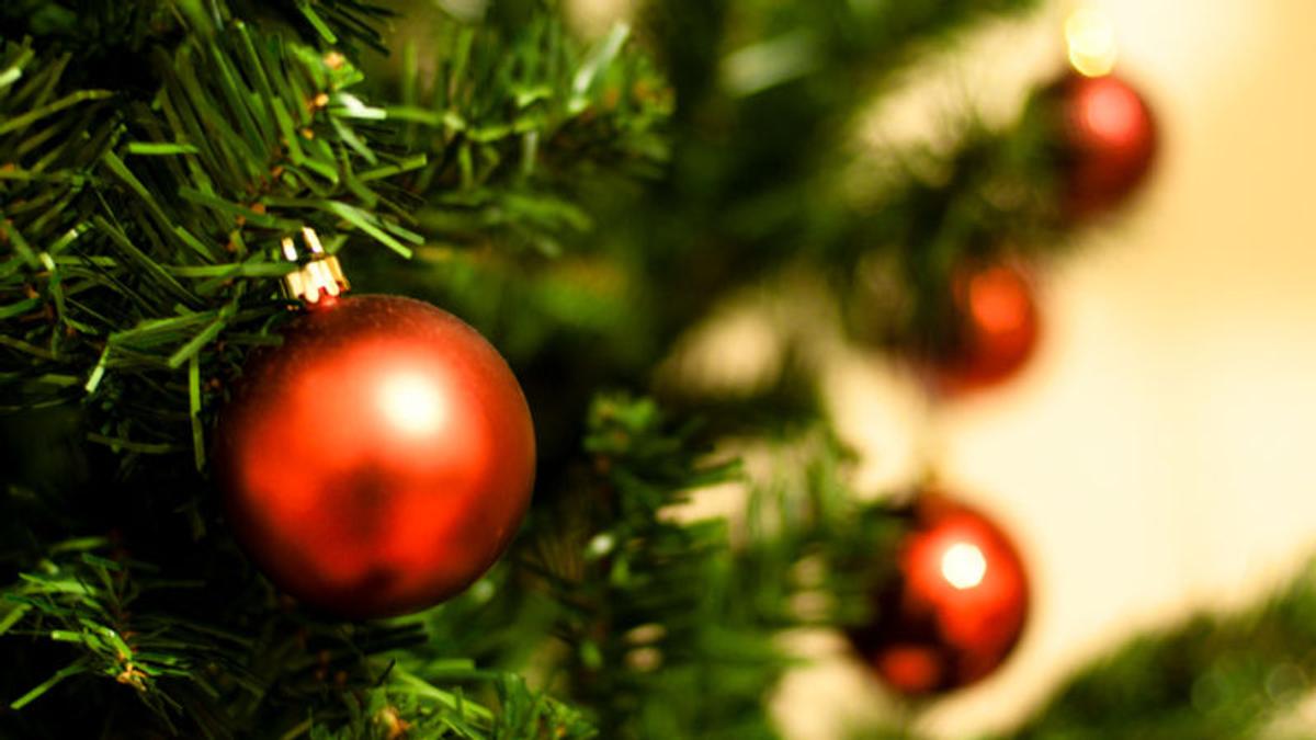 クリスマスまでモミの木のツリーを枯れさせない5つのtips ライフハッカー ジャパン
