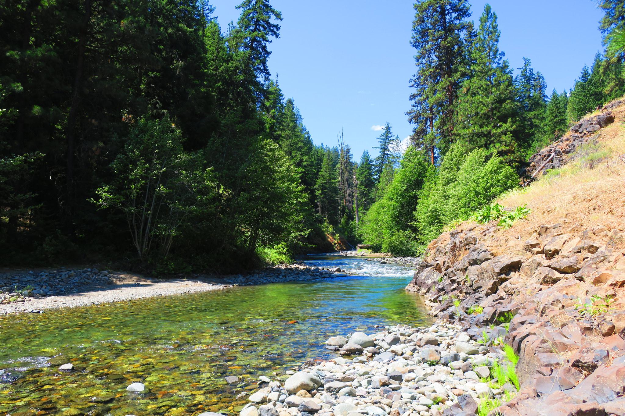 川や池の水は安全ではない 原水を飲んではいけない理由と飲むための方法 ライフハッカー ジャパン