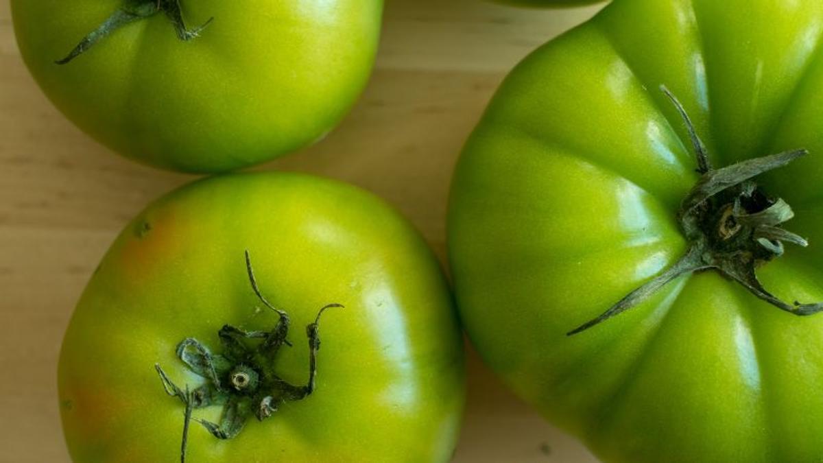 新しい美味しさに出会えるグリーントマトレシピ3選 ライフハッカー ジャパン
