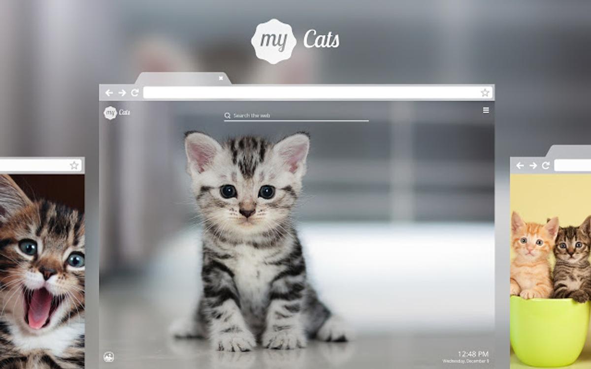 タブに子猫と子犬を表示させる拡張機能 Chrome Firefox向け ライフハッカー ジャパン