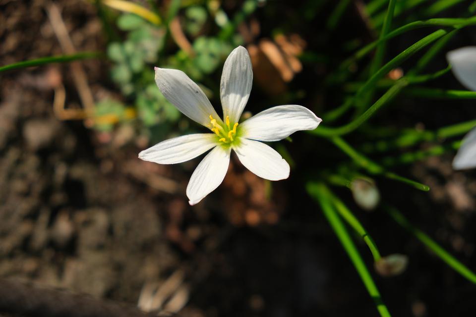 200922xs10_14