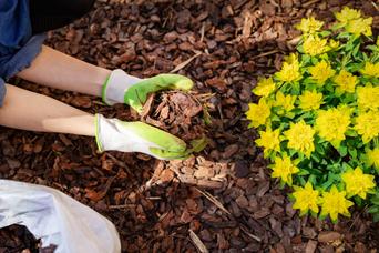花壇や庭にマルチングを施す方法