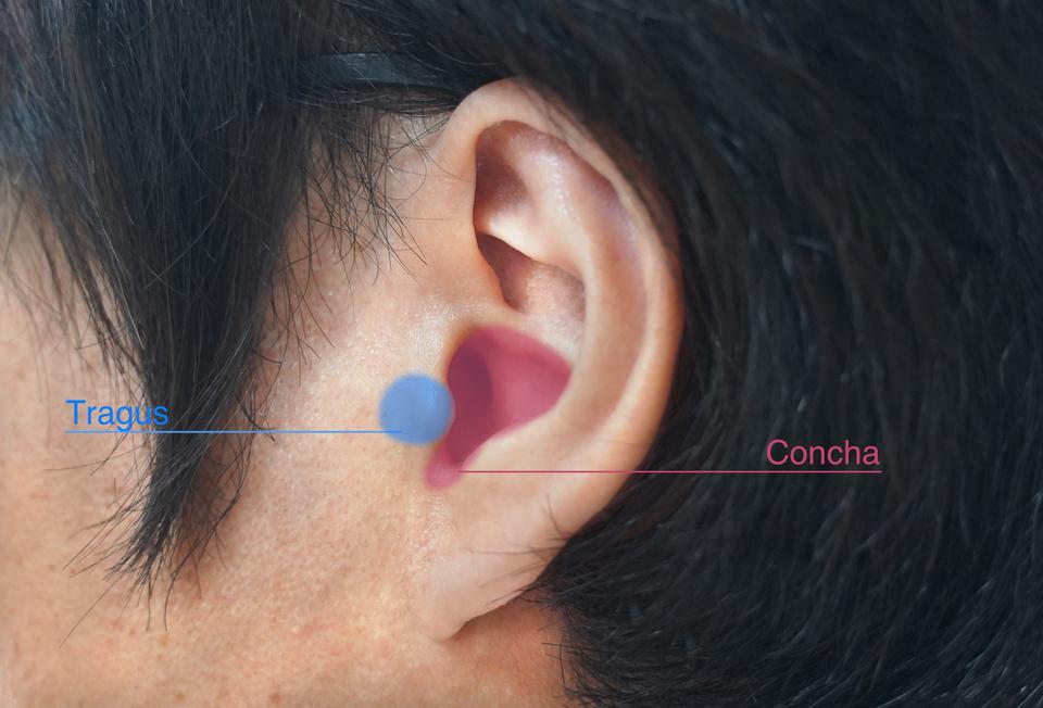 イヤホンの 何か合わない 問題を解決 原因は耳のアレにあった ライフハッカー 日本版 イヤホンの 何か合わない 問題を解決 原因は耳のアレにあった ライフハッカー 日本版