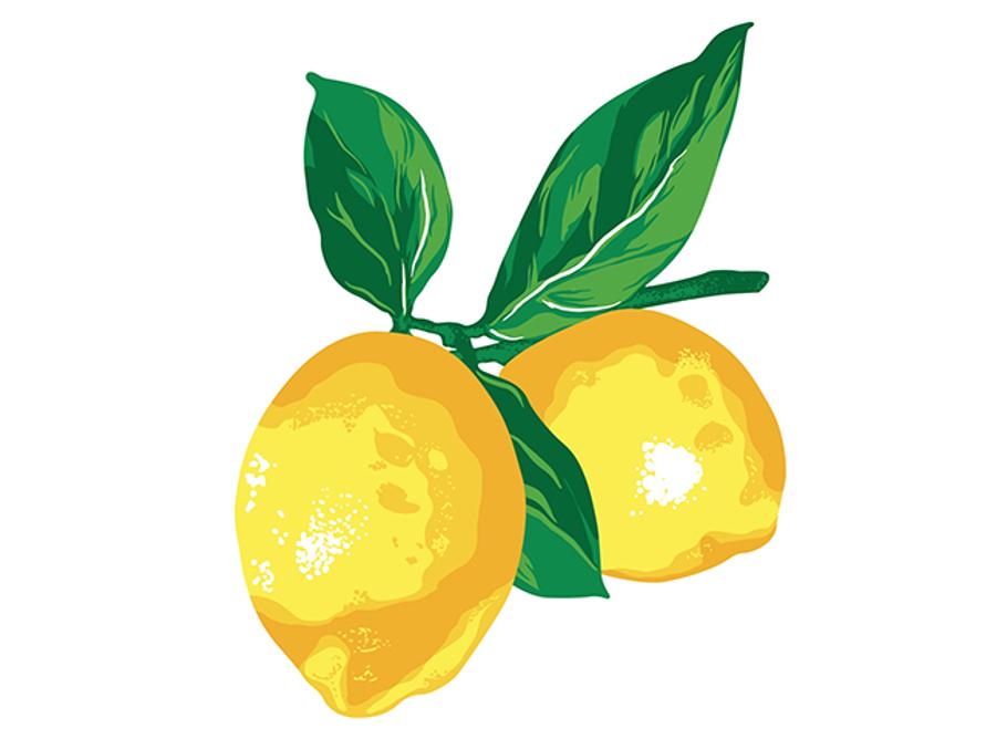 201807_lemon_recipe_2