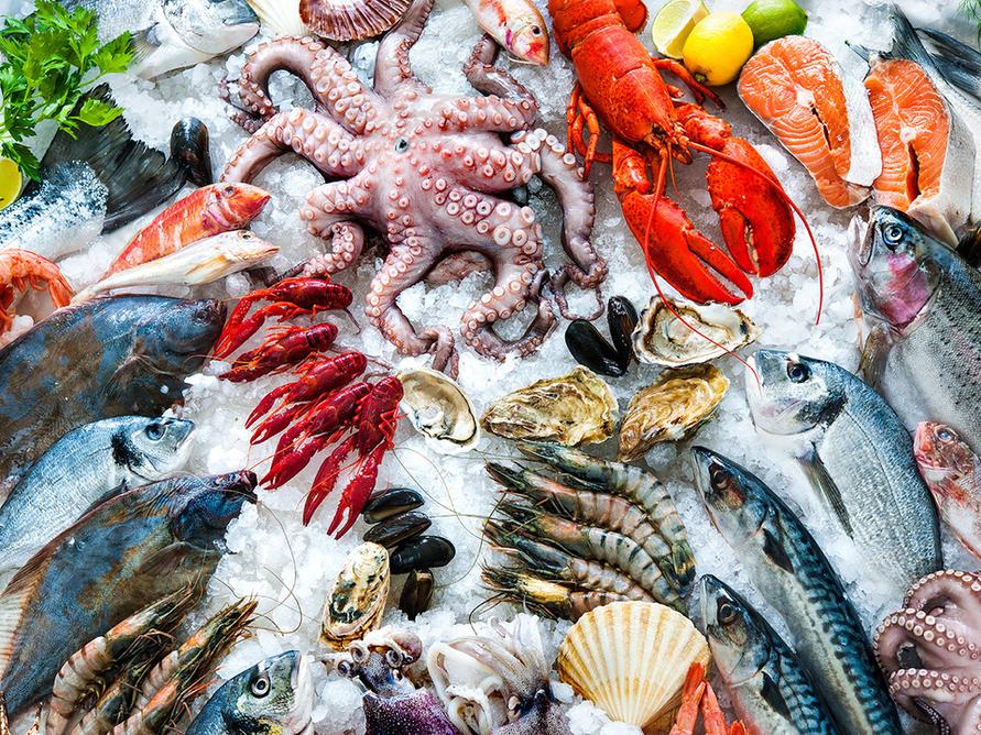 魚介類