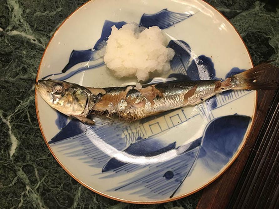 魚