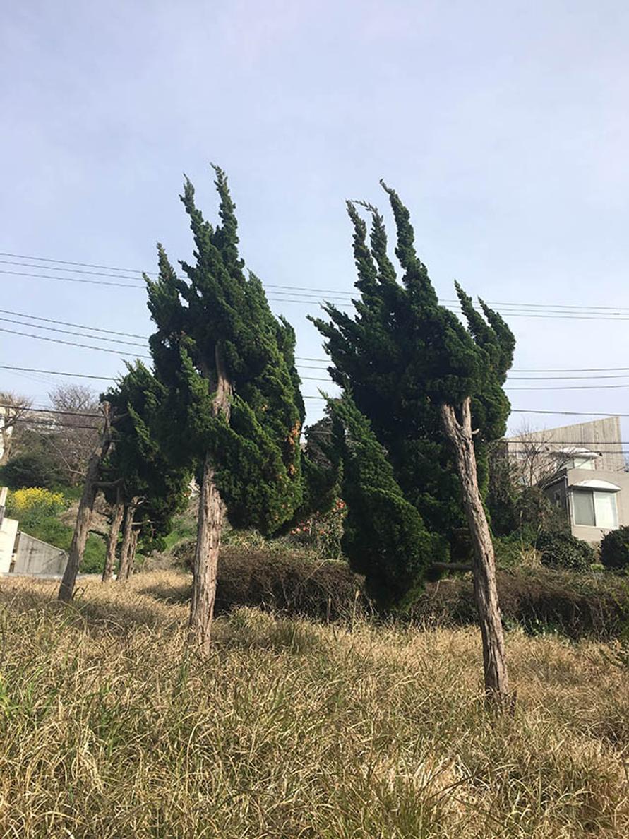 景色