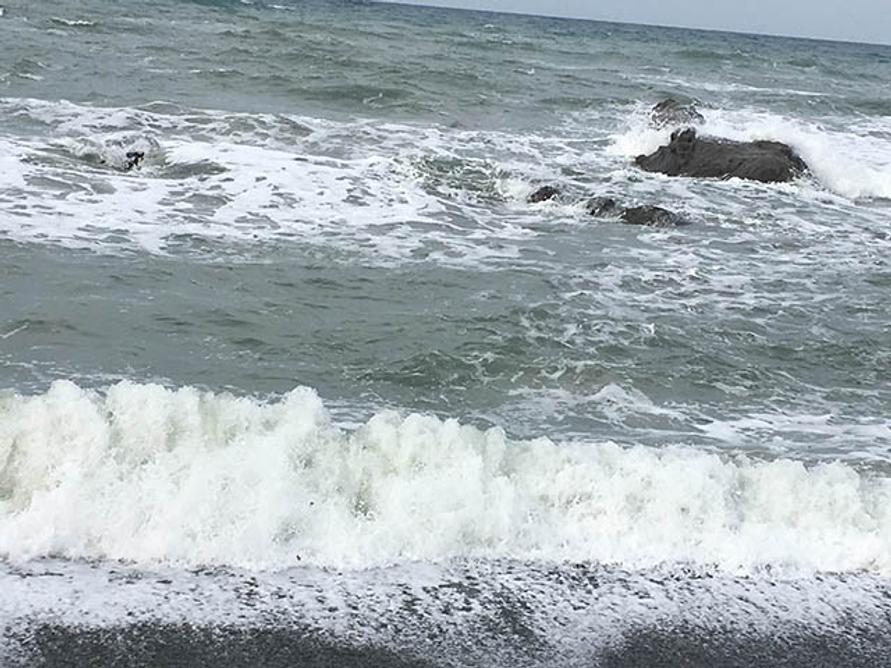 海