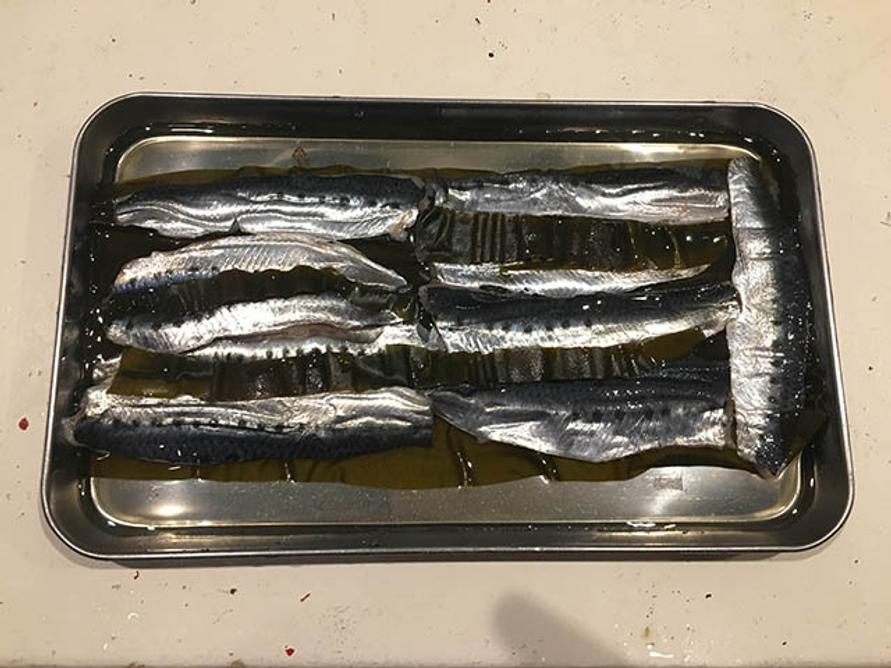 魚
