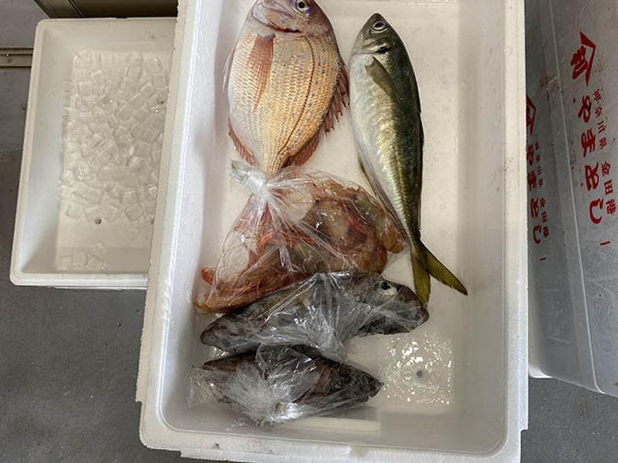鮮魚