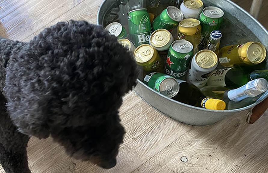ビールとデデ