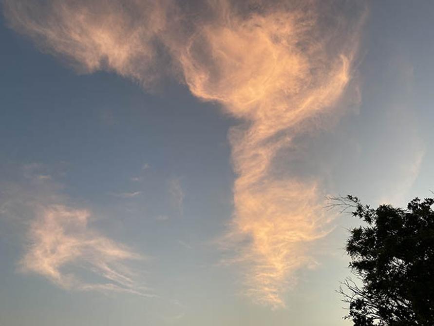 ピンク雲
