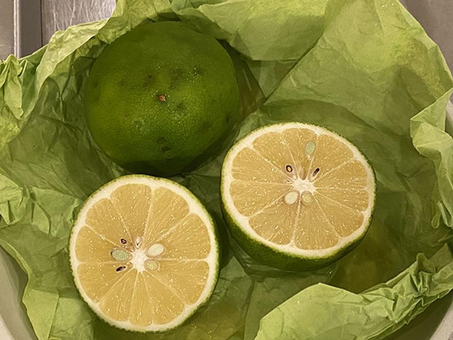 20.10.03_c_lemon