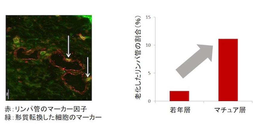 20201127_newsrelease_2