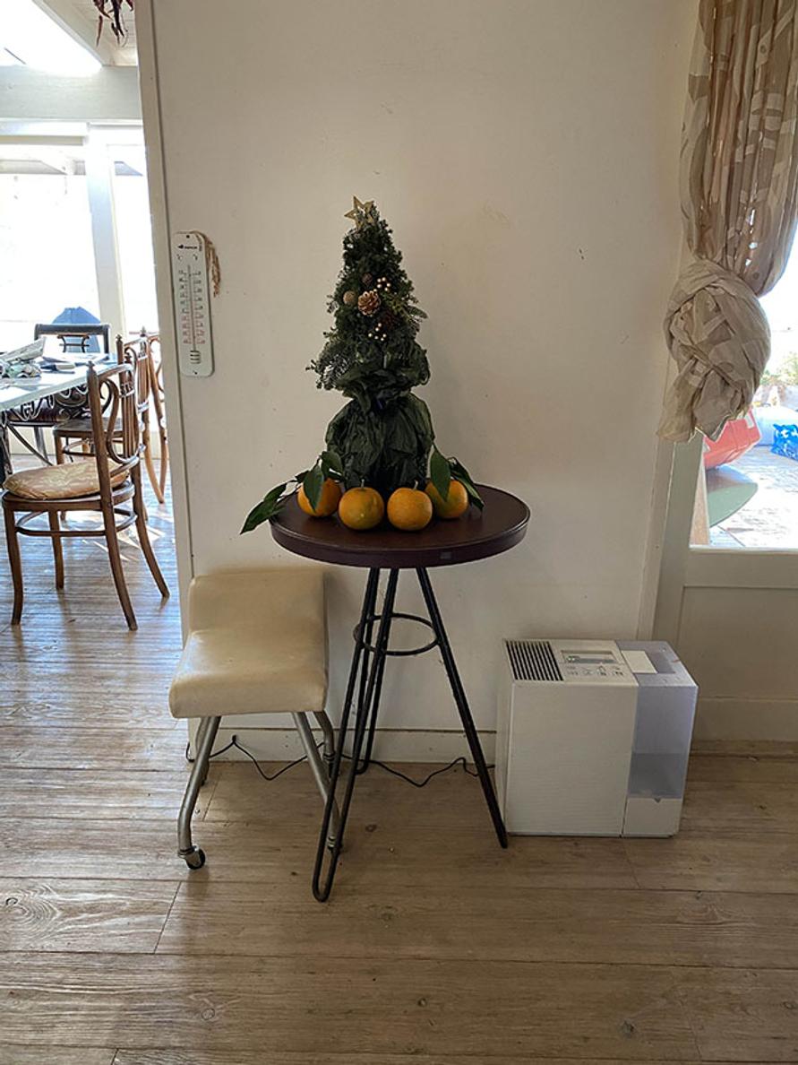 20.12.27_a_tree