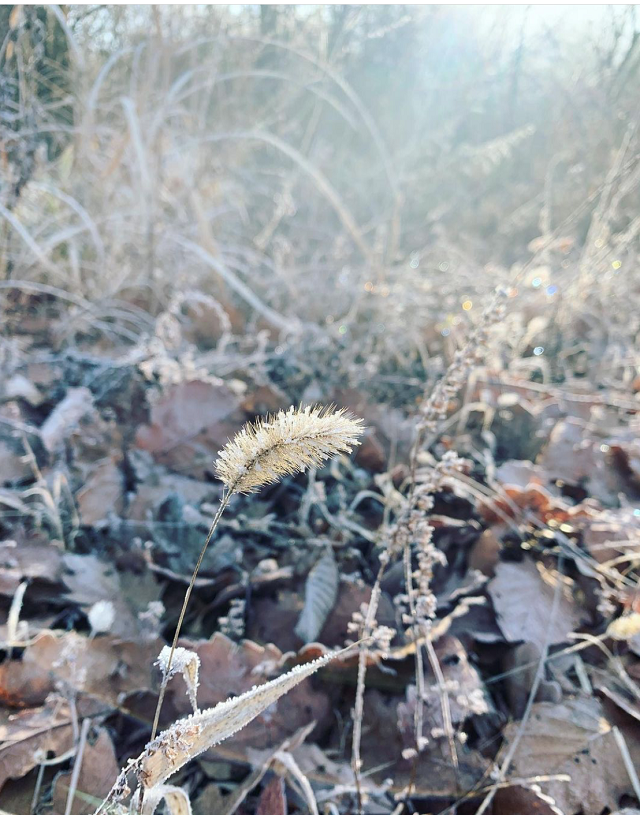 202101_kawakami-3