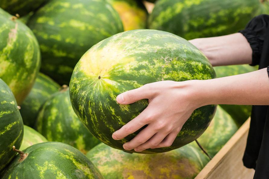 shutterstock_1460869490