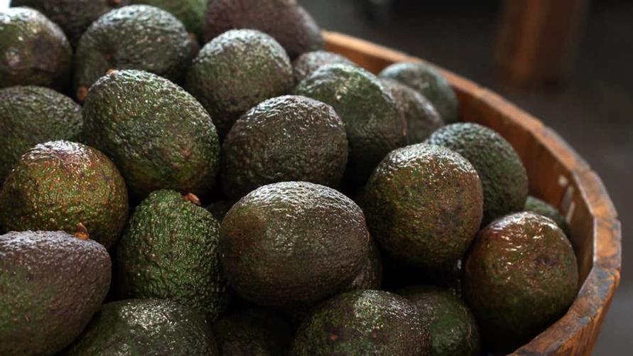 avocados