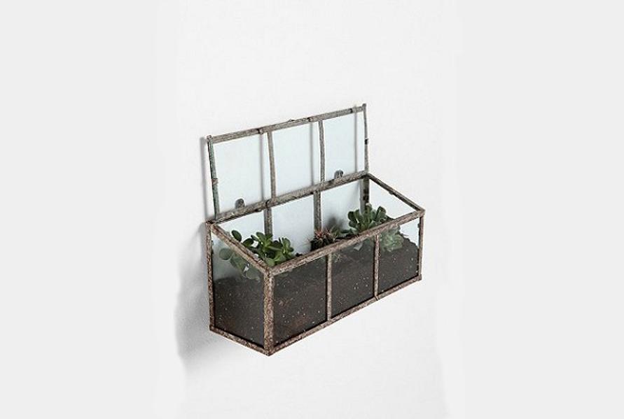 120622Terrarium
