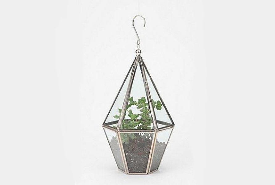 120622Terrarium2