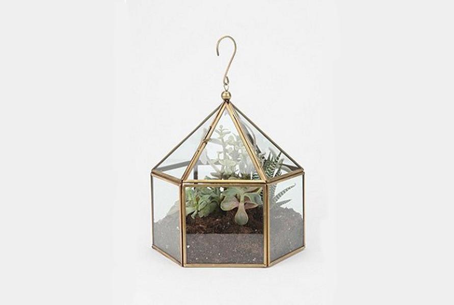 120622Terrarium4