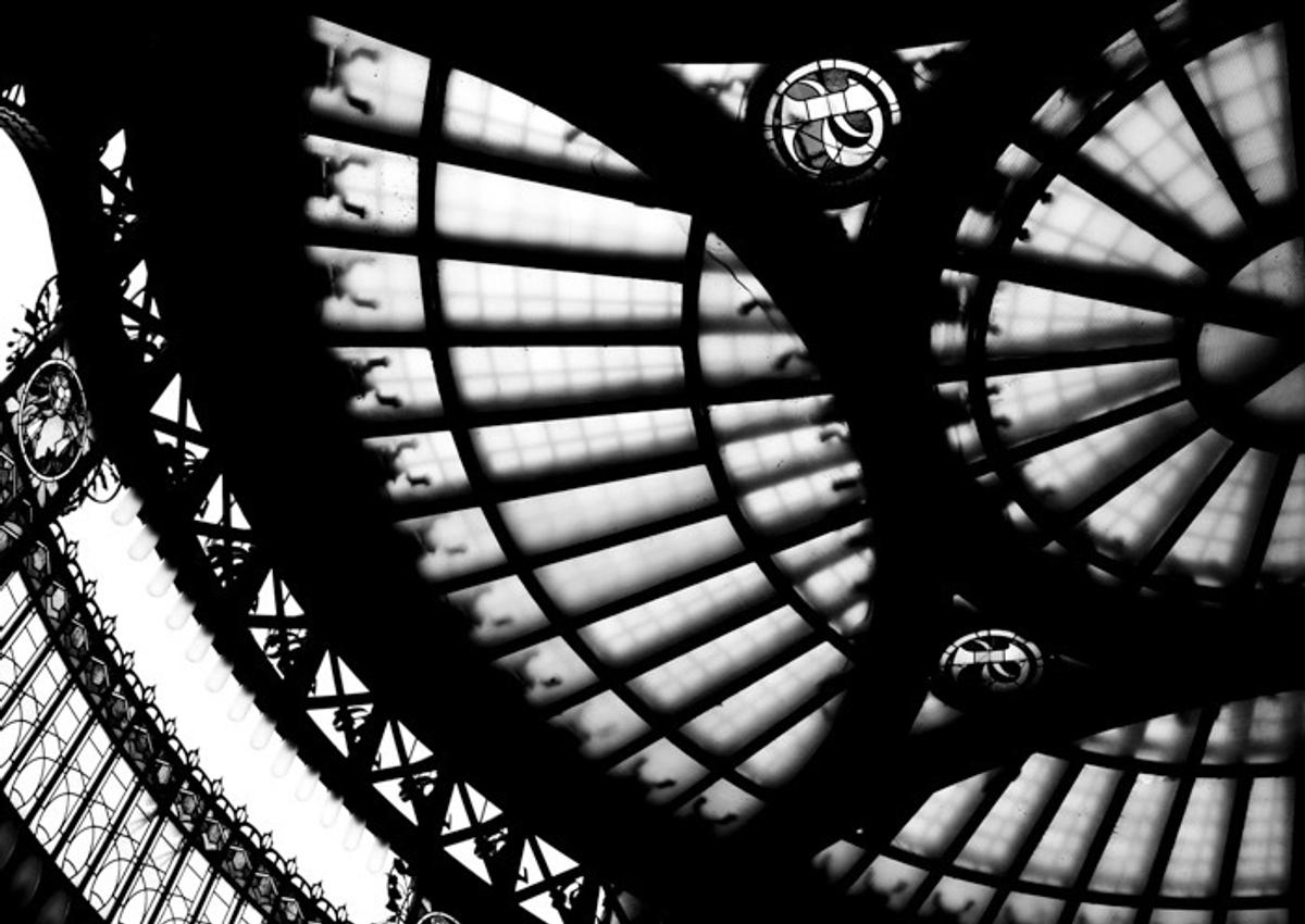 ライカがヨーロッパを旅したよ ROOMIE(ルーミー)