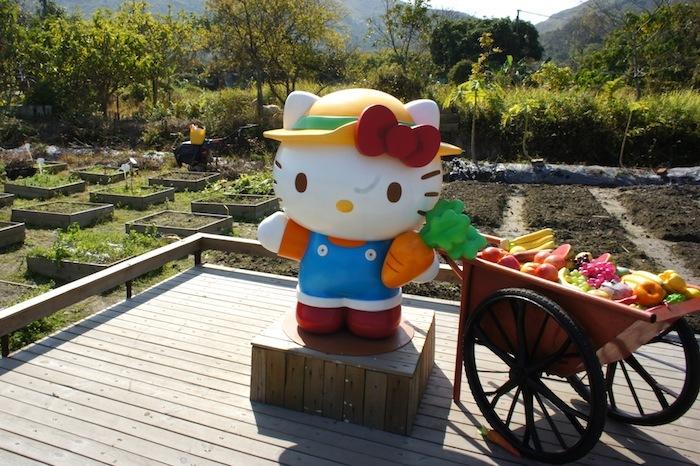 150129ECkittyfarm1.jpg?w=1200