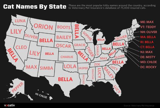 アメリカでどんな名前が人気か知ってるニャン Roomie ルーミー