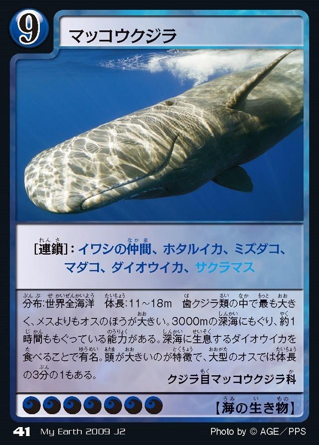地球環境カードゲーム マイアース」で、この星の未来を考えよう