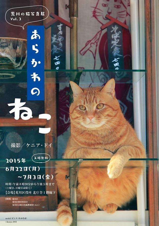 荒川在住のねこさまの暮らし、のぞきにいこう | ROOMIE（ルーミー）