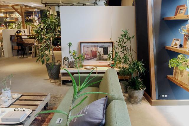 niko and…〉からインテリアブランド〈niko and…FUNITURE＆SUPPLY〉本格