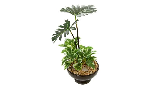 【美品】観葉植物　フェイクとハンガーラック　ニトリ ニトリ フェイク グリーン おすすめ ニトリの フェイクグリーン を雑貨