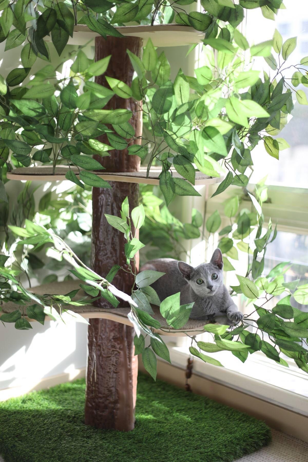 この観葉植物、よーく見てみると… | ROOMIE（ルーミー）