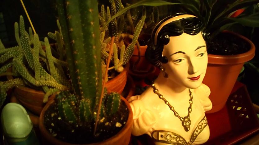 アスティエ　お香　YAKUSHIMA 正規通販】ASTIER de VILLATTE Yakushima インセンス アスティエ