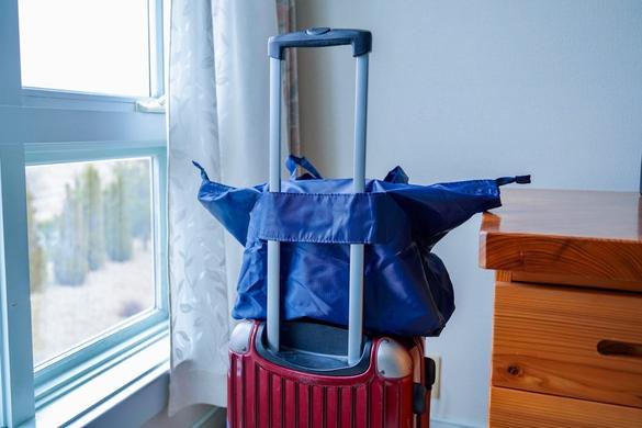 ニトリの収納グッズ、マジでGWの必需品だと思うのよね｜マイ定番