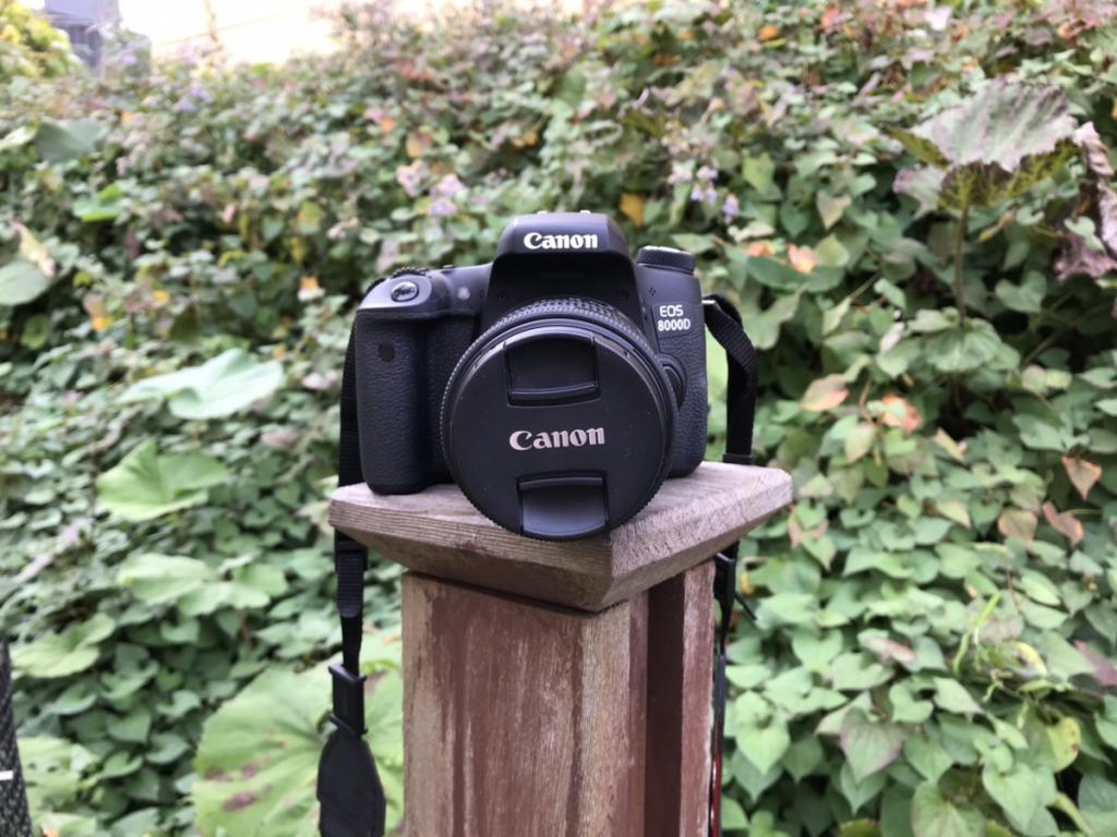 Canonの「8000D」なら、カメラとスマートフォン間の画像転送もカンタン