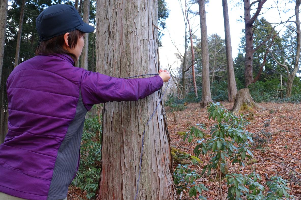 手のひらサイズのピコシェルターが「登山中のもしも…」のお守り