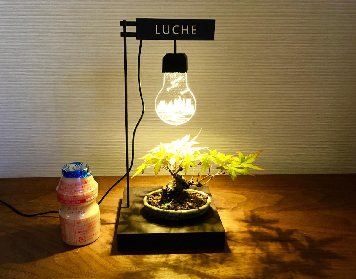 インテリアに馴染むデザインの植物栽培用ライトを発見。最近はキッチン 