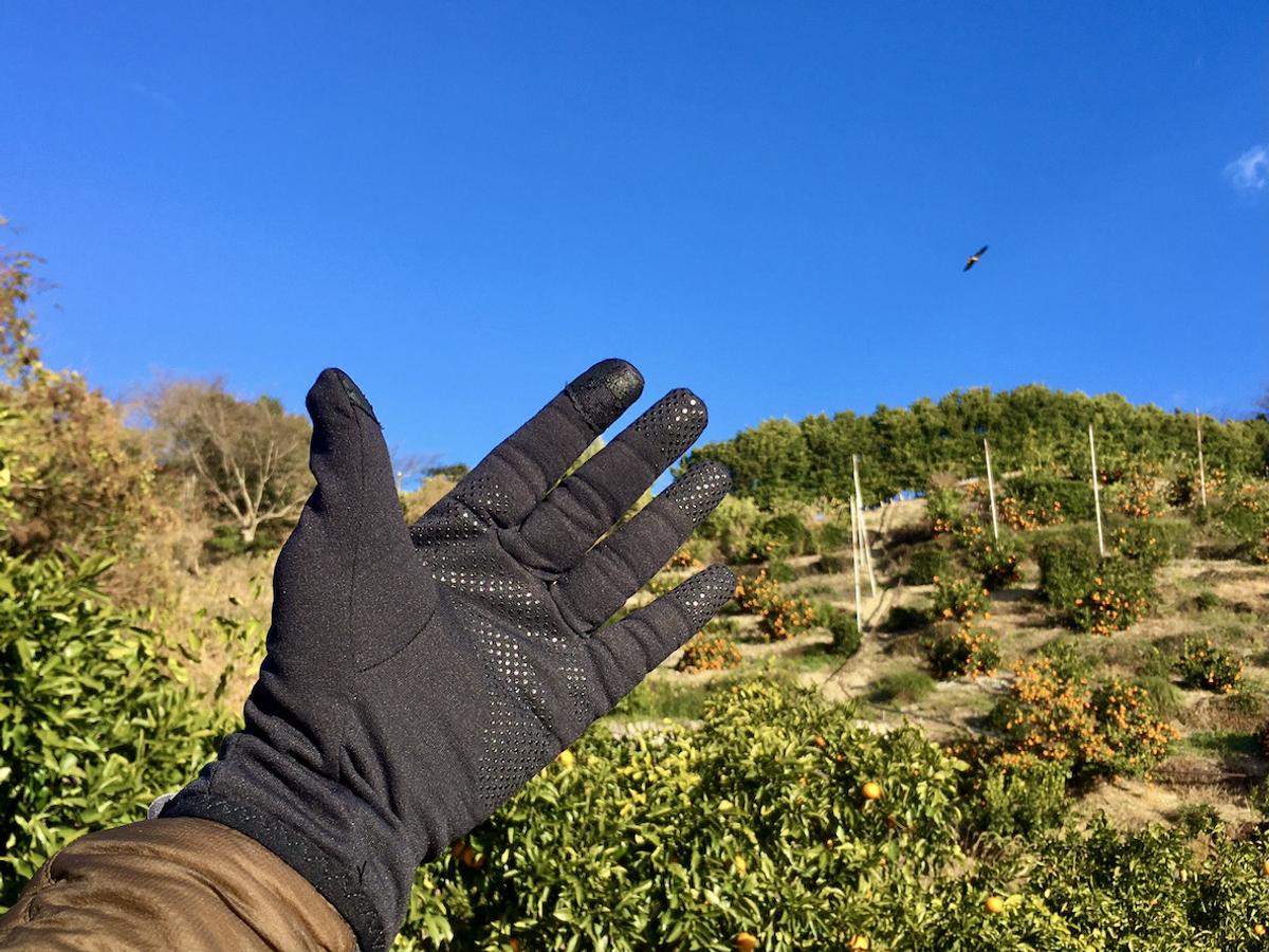 モンベルのトレールアクショングローブは出番が多い優等生！ 夏の高山から冬の低山、車の運転にも最適だよ | ROOMIE（ルーミー）
