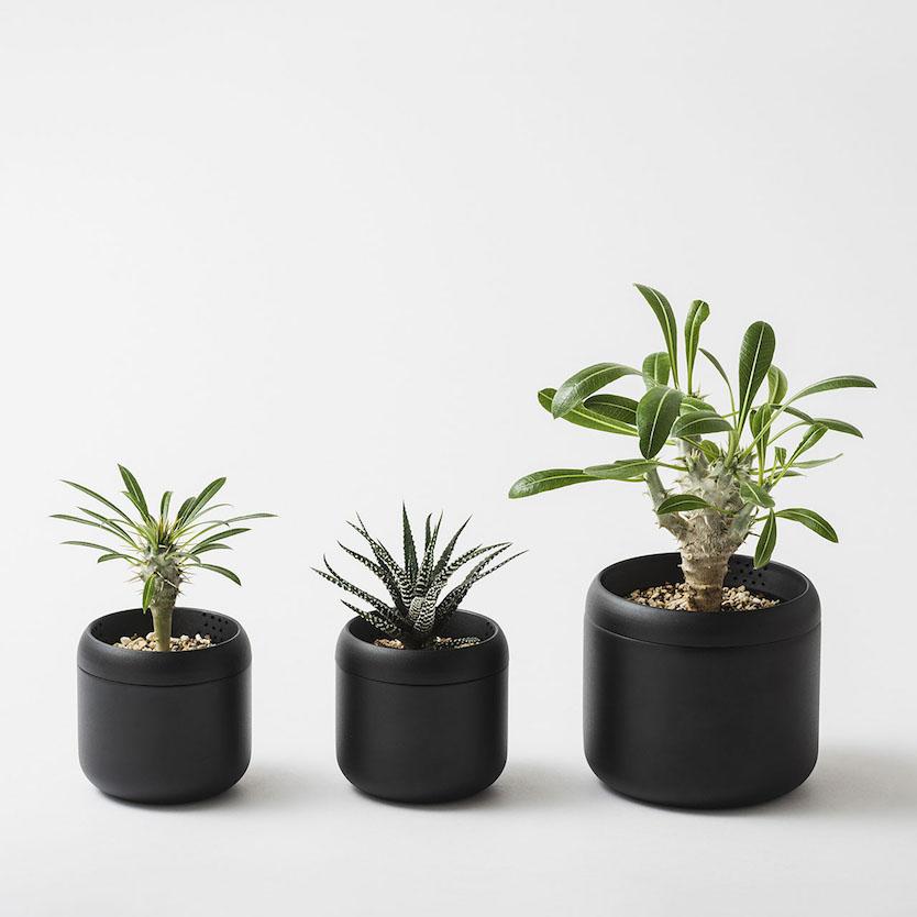 あのTENTの新作アイテムは、なんと「植木鉢」！ これなら枯らさずに