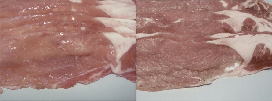 パナソニック冷蔵庫搭載の「微凍結パーシャル」と通常の「チルド」比較