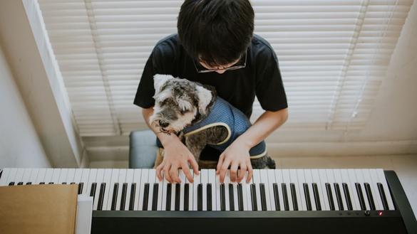 ピアノ椅子おすすめ11選！背もたれありなし、高さ調整できるものまで  