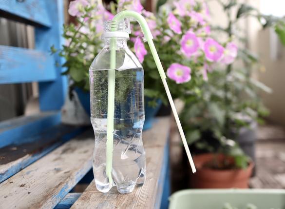 ストローみたいな見た目の ミドリの水番 が 留守中にグリーンを枯らさないための救世主になってくれました Roomie ルーミー