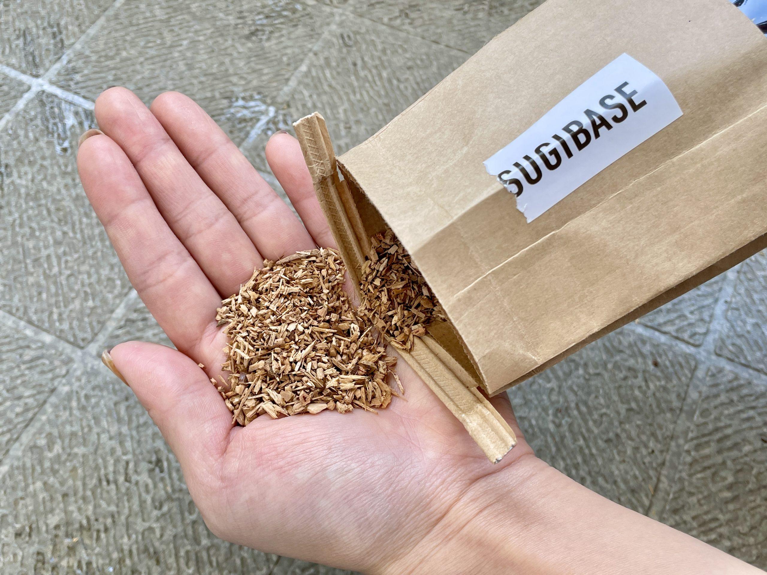 植物初心者が水やりで失敗しないためには「スギベース」を使うの