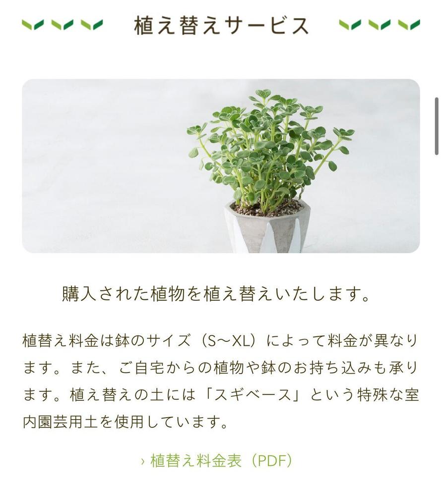 HITOHACHI公式サイト