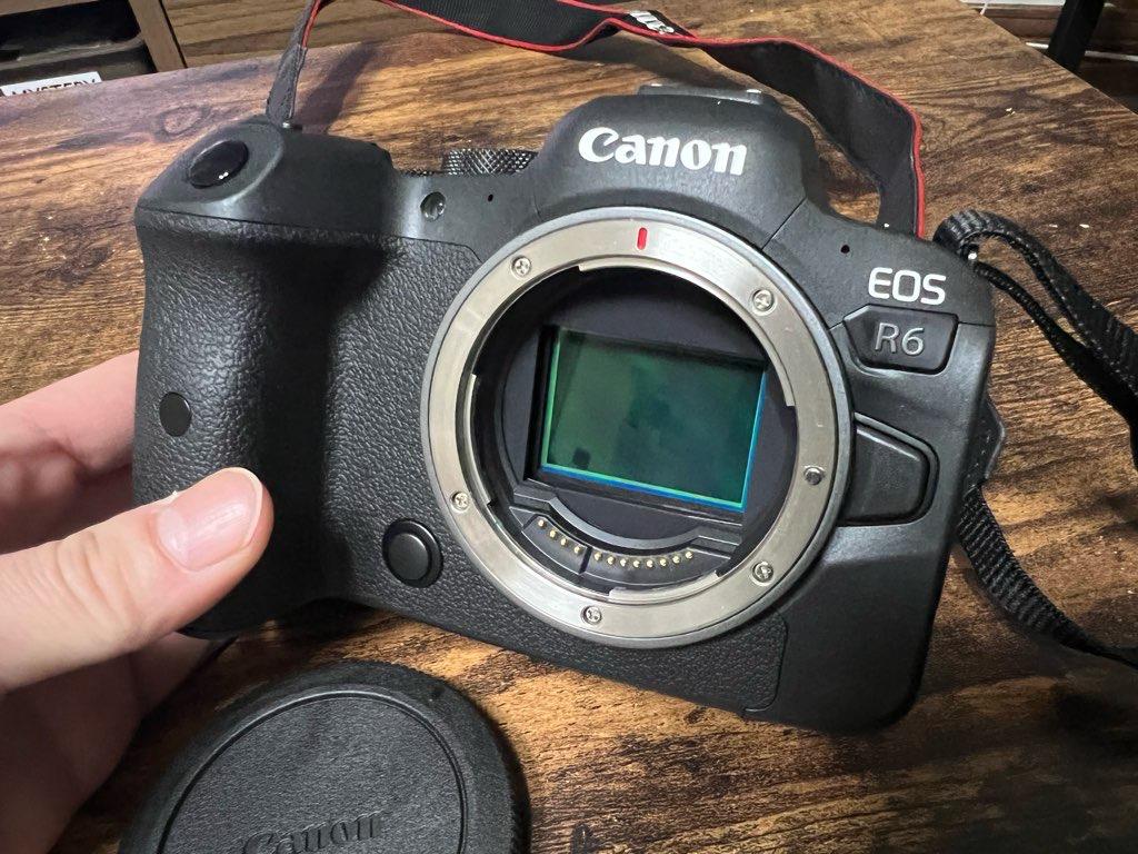 カメラを「EOS R6」に変えたら、撮影が超楽しくなった話。悩んだ