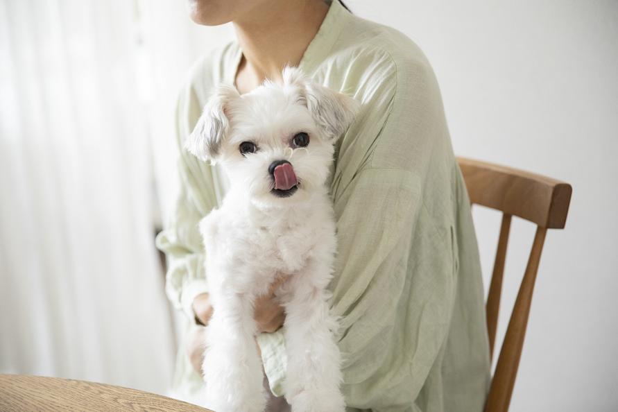 こちらは、ピグちゃんのベロ