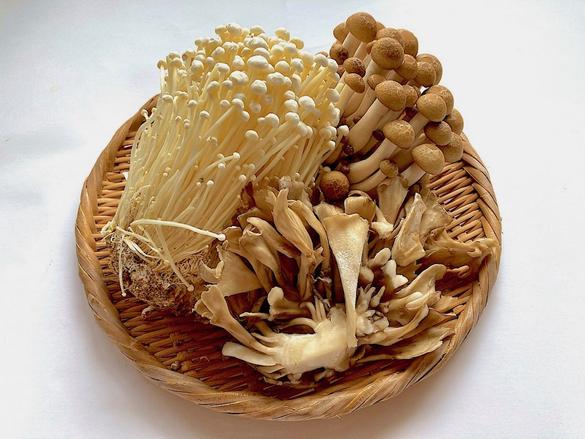 秋の保存食「塩漬けきのこ」は、30秒ゆでて、塩を振って、1時間